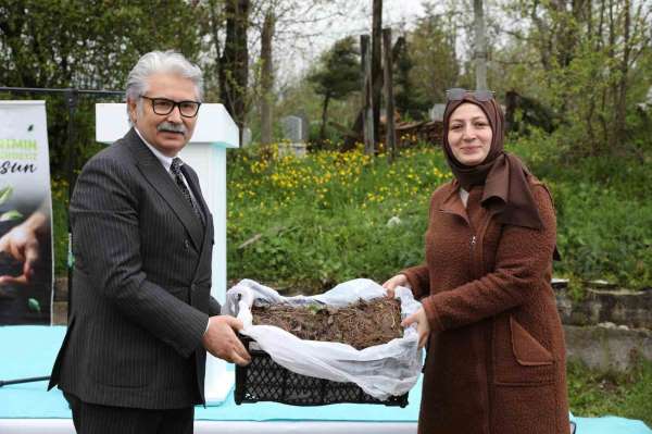 Samsun'da üreticilere 150 bin çilek fidesi desteği