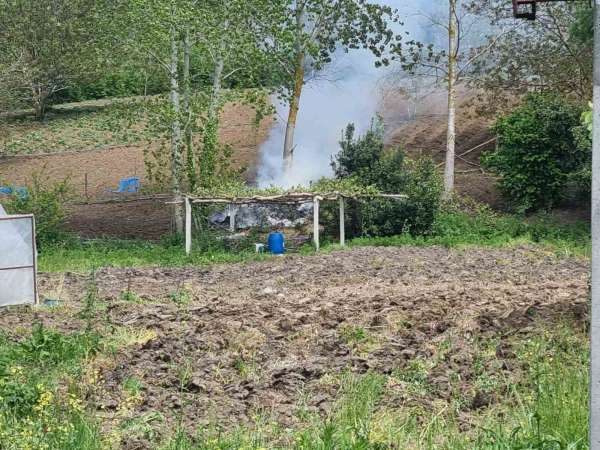 Sinop'ta tarlada yangın paniği