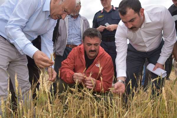 Validen doğal afetlere karşı çiftçilere uyarı: 'TARSİM sigortasını yaptırın'