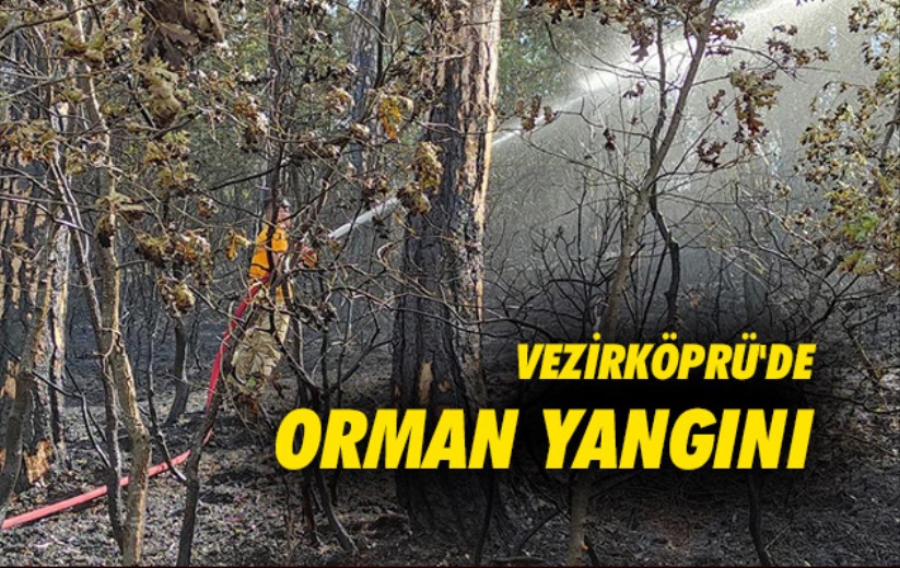 Vezirköprü'de orman yangını