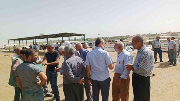 Malatya'da kurbanlıklar alıcılarını bekliyor