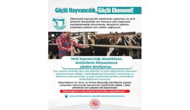 Yabancı çobanlar için çalışma izni başvuruları başladı