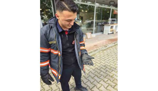 Yaralı yarasa koruma altına alındı
