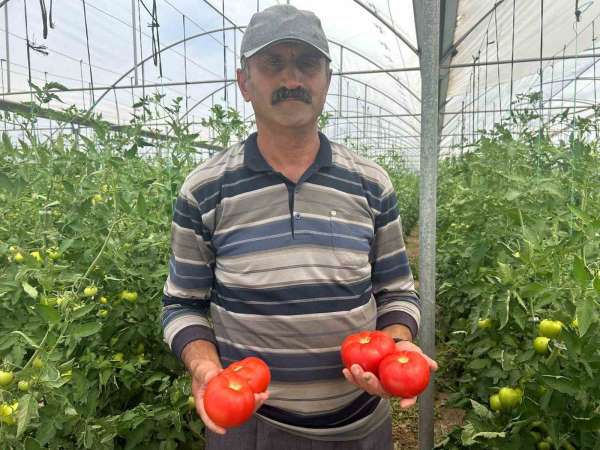 Yaş Sebze ve Meyve Üreticileri Birliği Başkanı Kılıç: 'Ürünün yüzde 45'i vatandaşın eline ulaşamadan israf olu