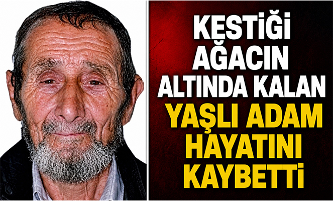 Kestiği ağacın altında kalan yaşlı adam hayatını kaybetti