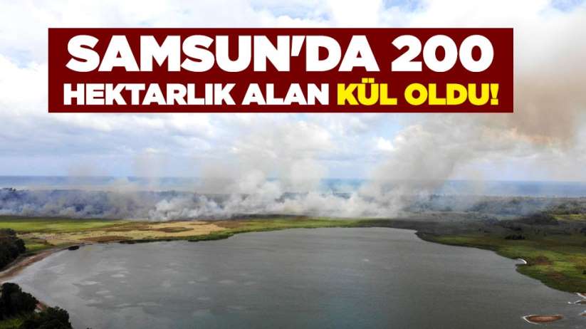 Samsun'da 200 hektarlık alan kül oldu!