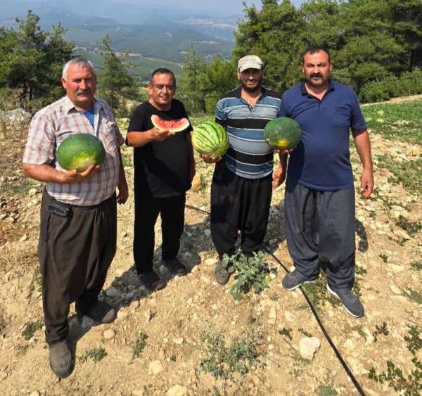 Tarsus'ta yerli tohuma ve üretime dönüş için çağrı