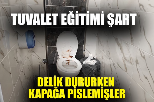 Tuvalet eğitimi şart delik dururken kapağa pislemişler