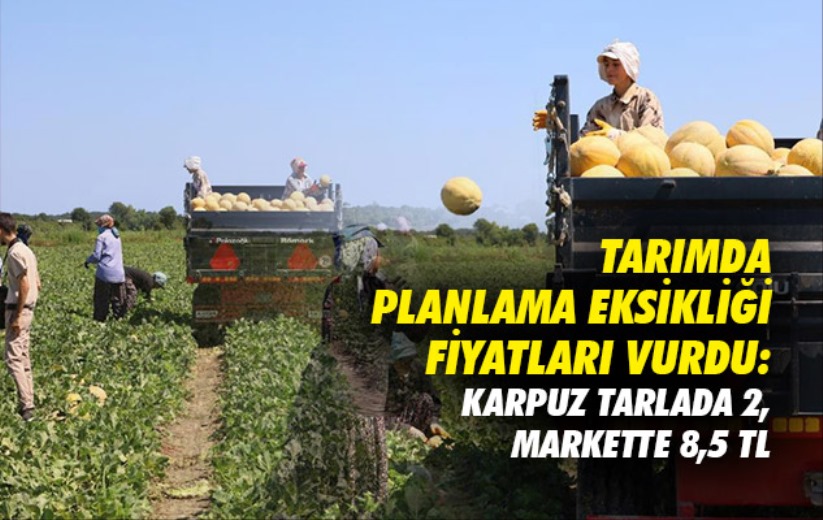 Tarımda planlama eksikliği fiyatları vurdu: Karpuz tarlada 2, markette 8,5 TL