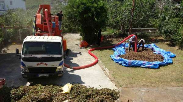 Fındıkta patoz mesaisi başladı: Saatlik ücreti 4 bin 500 TL