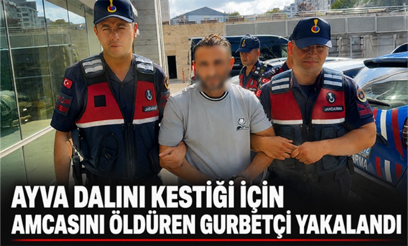 Ayva dalını kestiği için amcasını öldüren gurbetçi yakalandı