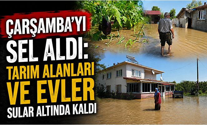 Çarşamba'yı sel aldı: Tarım alanları ve evler sular altında kaldı