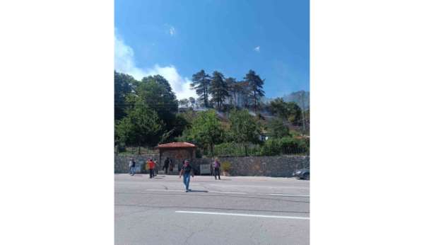 Sinop'taki orman yangınıyla ilgili 1 kişi gözaltında