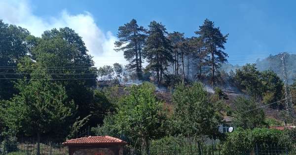 Sinop'taki orman yangınıyla ilgili 1 kişi tutuklandı