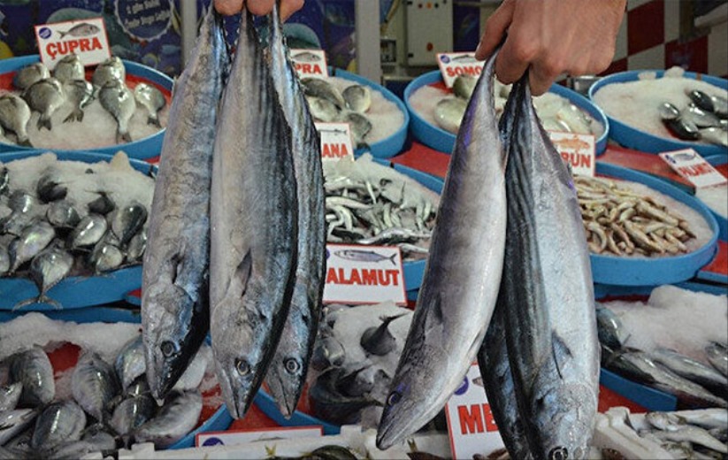 Atıf Malkoç: 'Balığın tadını maliyetler kaçırıyor'