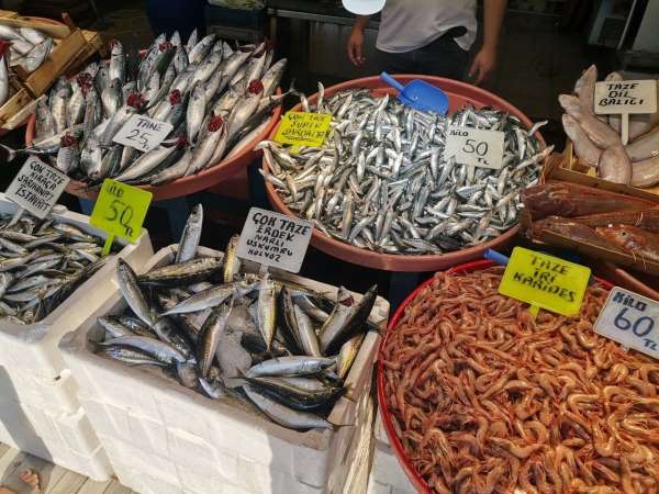 Bandırma'daki balık tezgahlarında bolluk var - Balıkesir haber