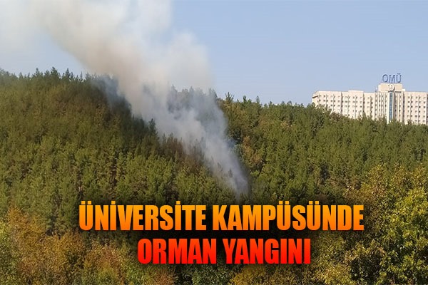 Üniversite kampüsünde orman yangını