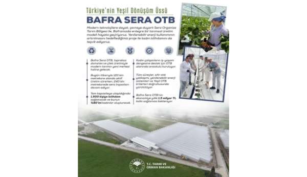 Kadın eliyle yeşeren tarım: Bafra Sera OTB, yıllık 1,5 milyar liralık katkı sunacak