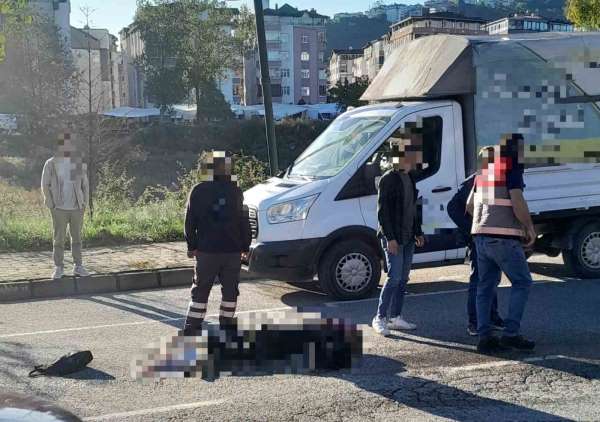 Ordu'da kamyonun çarptığı kadın hayatını kaybetti