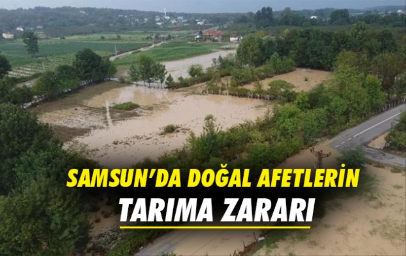 Samsun'da doğal afetlerin tarıma zararı