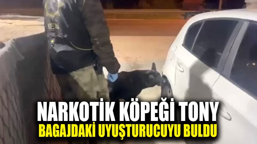 Narkotik köpeği Tony bagajdaki uyuşturucuyu buldu