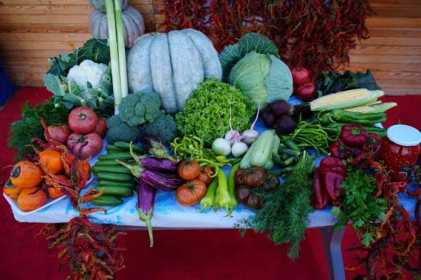 Edirneli üreticiler ata tohumundan ürettikleri ürünleri Millet Bahçesi'nde satışa sunuyor