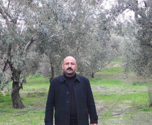 Mut'da bu yıl 120 bin ton zeytin rekoltesi bekleniyor