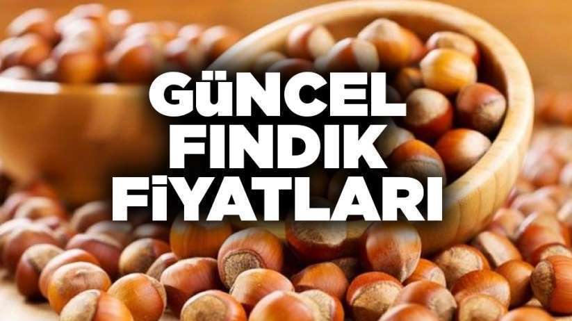 13 Ocak Pazartesi güncel fındık fiyatları ne kadar? Samsun fındık fiyatları