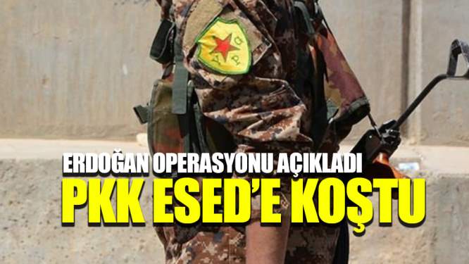 Operasyonu Duyan PKK Esed'e Koştu!