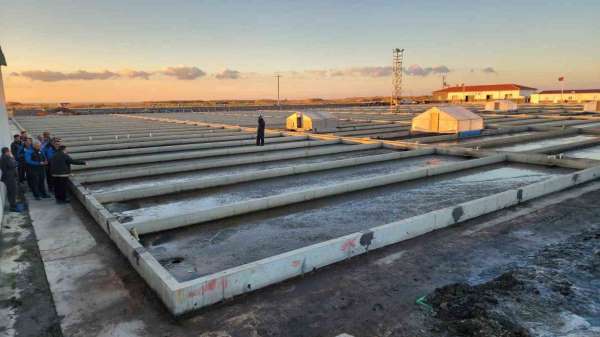 Çanakkale'deki deniz solucanları yetiştiriciliği tesisi sektörde tek