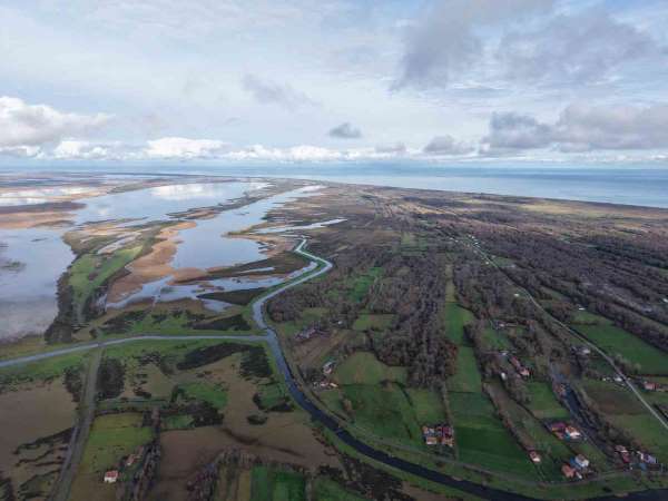 Kızılırmak Deltası'nda yer altı suları beslenemiyor: Her yıl su seviyesi düşüyor