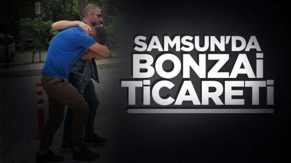 Samsun'da bonzai ticareti