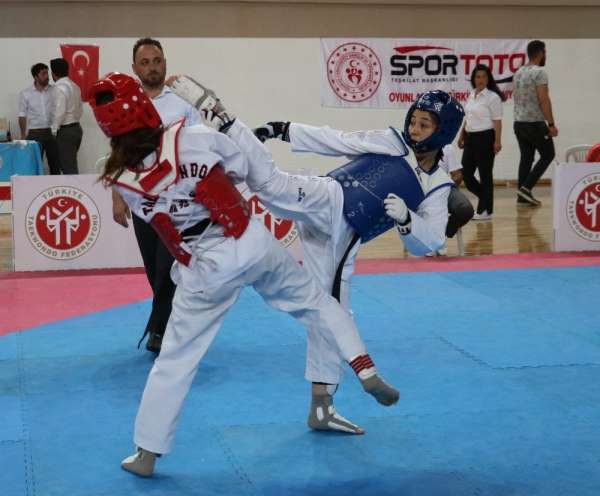 Ümitler Türkiye Taekwondo Şampiyonası Sivas'da başladı 