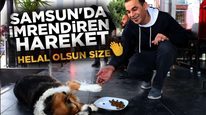 Samsun'da bir çift 10 köpeğe kapılarını açtı