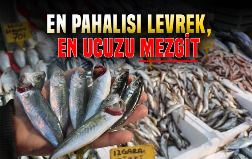 En pahalısı LEVREK, en ucuzu MEZGİT