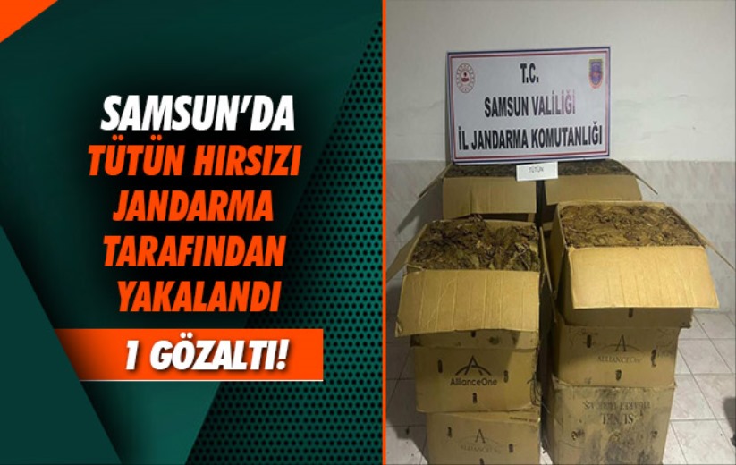 Samsun'da tütün hırsızı jandarma tarafından yakalandı