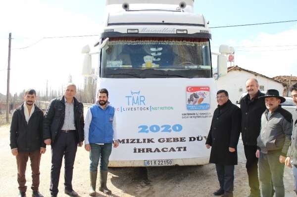 Türkiye'nin ilk damızlık düve ihracatı Eskişehir'den yapıldı