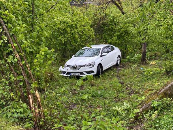 Ordu'da otomobil fındık bahçesine uçtu