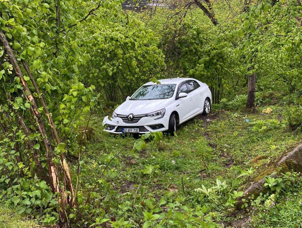 Ordu'da otomobil fındık bahçesine uçtu