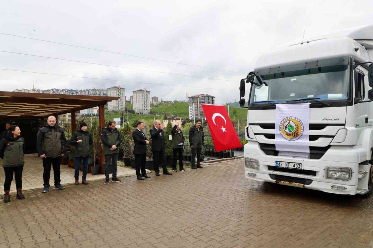 Ordu'dan Azerbaycan'a 3 tır orman fidanı gönderildi