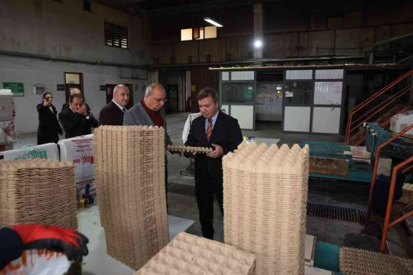 Erzincan'dan Türkiye'ye viyol üretimi