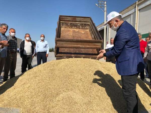 Mardin'de Dünya Çiftçiler Gününde sezonun ilk arpa hasadı yapıldı 