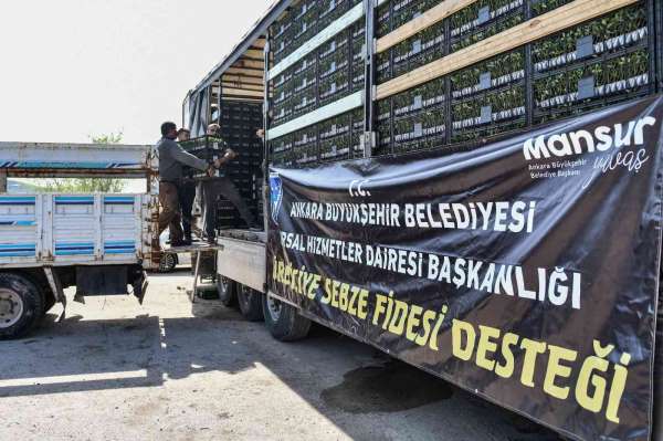 Ankara Büyükşehir'den çiftçilere sebze fidesi desteği - Ankara haber
