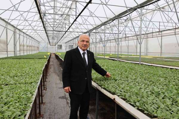 Başkan Güler: '5 yılda kendi ürettiğimiz 4 milyon adet fideyi üreticilerimize dağıttık'