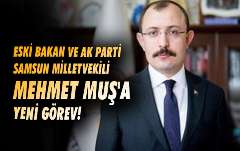 Eski Bakan ve AK Parti Samsun Milletvekili Mehmet Muş'a yeni görev!