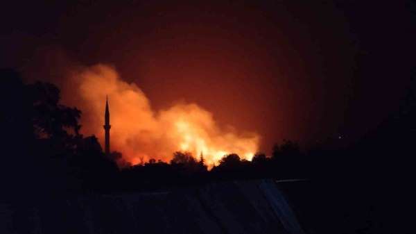 Tokat'ta yıldırım düşen ekili tarla yandı