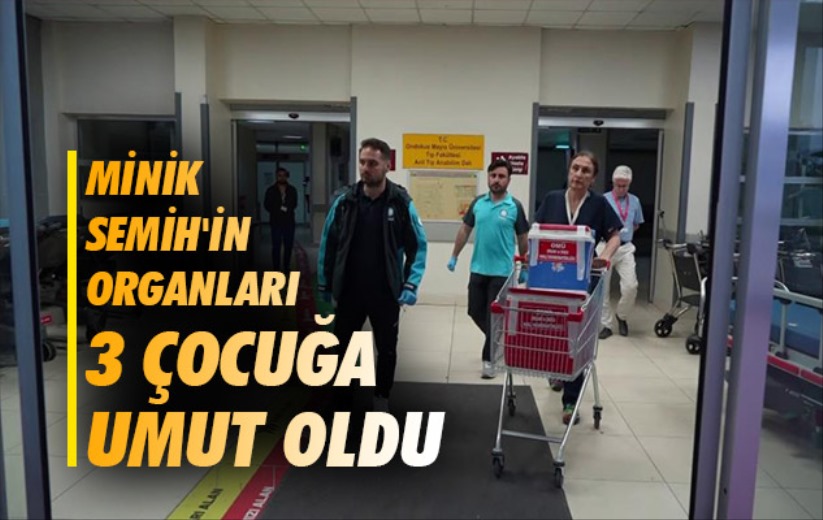 Minik Semih'in organları 3 çocuğa umut oldu