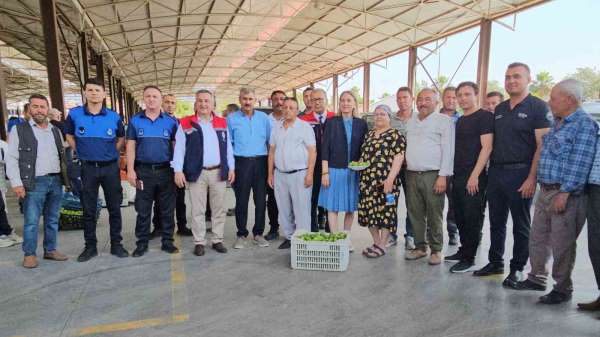 Nazilli'de kaliteli incir için kaliteli ilek denetimleri sürüyor