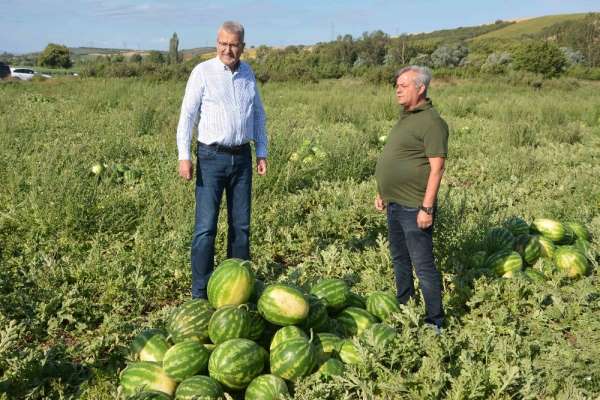 Karacabey'de karpuz hasadı başladı 