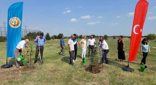 Edirne'de 15 Temmuz şehitleri anısına hatıra ormanı oluşturuldu